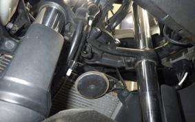 KAWASAKI NINJA 250 ABS