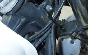 KAWASAKI NINJA 250 EX250L