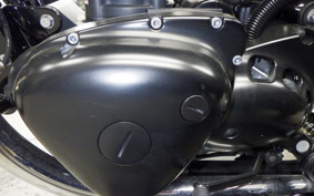 KAWASAKI W800-2ｽﾄﾘｰﾄ 2021 EJ800B