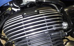 OTHER +ENFIELD ﾒﾃｵ350 2025