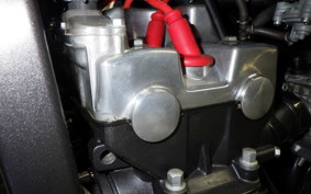 HONDA HORNET 250 MC31