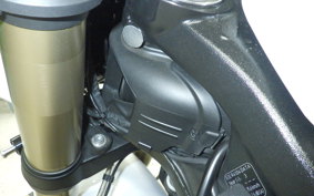 BMW S1000R 2021