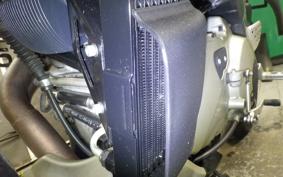 BUELL BUELL XB12SS LIGHTNING 2007