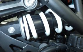 KAWASAKI Z900RS CAFE 2025 ZR900K