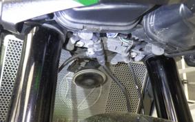 KAWASAKI Z1000 Gen.5 2021 ZXT00W