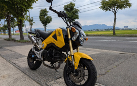 HONDA GROM JC61