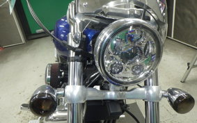 OTHER +HD. XL1200C-I 2015