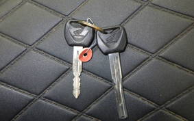 HONDA REBEL 250 2000 MC49