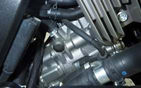 SUZUKI DL650 ( V-Strom 650 ) XTA 2023 C733M
