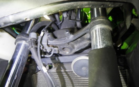 KAWASAKI NINJA 250 ABS EX250L