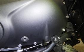 TRIUMPH SCRAMBLER 900 2023