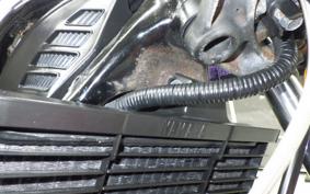 YAMAHA RZ250R 2024 29L