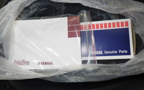 YAMAHA CYGNUSｸﾞﾘﾌｧｽ 2009 SEJ4J