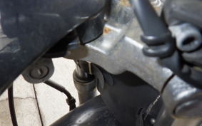 HONDA STEED 400 1995 NC26