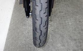 HARLEY FXBB1920 2025