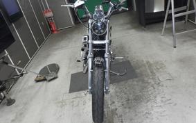 HARLEY L1200LI 2010