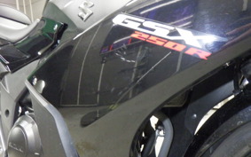SUZUKI GSX250RA