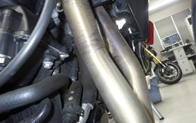 TRIUMPH TRIDENT 660 2024