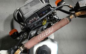 HONDA XLR250 BAJA MD22
