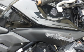 YAMAHA MT-25 RG10J