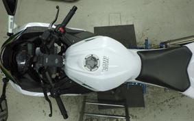 KAWASAKI NINJA 250 EX250L