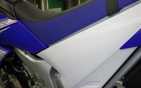 YAMAHA WR250R 2022 DG15J