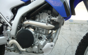 YAMAHA WR250X DG15J