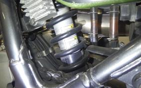 KAWASAKI SUPER SHERPA KL250G