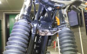 KAWASAKI W800 2019 EJ800A