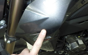 KAWASAKI Z125 PRO 2024 BR125H