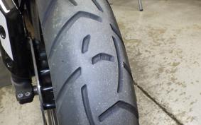 TRIUMPH TIGER 900 GT PRO 2025