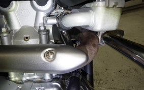 YAMAHA WR250X DG15J