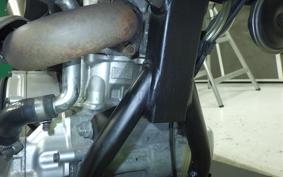 YAMAHA WR250X DG15J