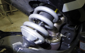 DUCATI SCRAMBLER ICON 2024