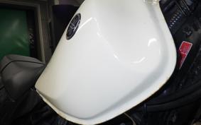 YAMAHA TW225 2023 DG09J