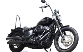 HARLEY FXBB 2018 YJJ