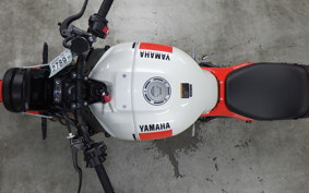 YAMAHA XSR900 2024 RN80J