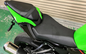 KAWASAKI NINJA ZX-6R 2019 ZX636G