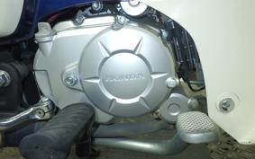 HONDA C50 SUPER CUB AA09