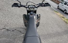 YAMAHA WR250X DG15J