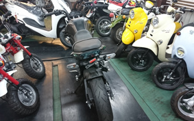 KAWASAKI Z125 PRO BR125H