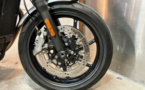 TRIUMPH SPEED TWIN 2019 DAD85H