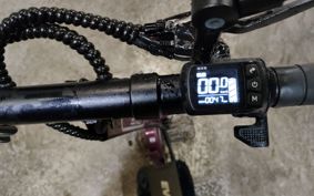 OTHER  BLAZE EV SCOOTER  EVSC00TER