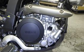 YAMAHA WR250X 2009 DG15J