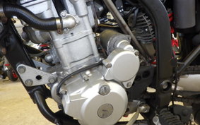 KAWASAKI KLX250D TRACKER X LX250V