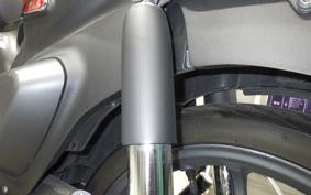 HONDA C125 SUPER CUB 2025