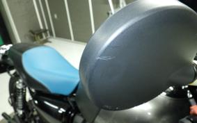 KAWASAKI W800 CAFE 2021 EJ800B