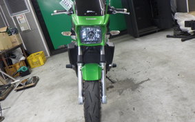 KAWASAKI ZRX1200 D 2013 ZRT20D