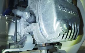 HONDA C110 SUPER CUB