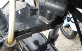 OTHER +UNREGISTERED MODEL by BDS250